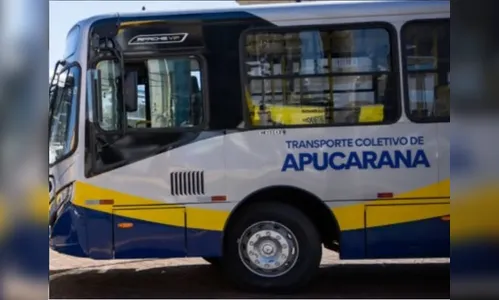 Criminosos usam distração para furtar passageira no Terminal Urbano