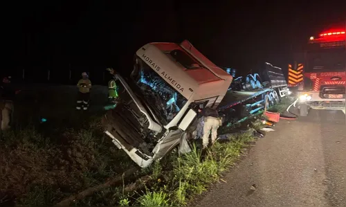 Motorista morre em grave acidente de caminhão na rodovia BR-116