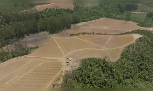 Apresentador da Globo tem fazenda com plantação do tamanho de 35 campos de futebol; saiba quem