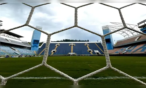 Palmeiras x Capivariano: confira o horário e onde assistir ao vivo
