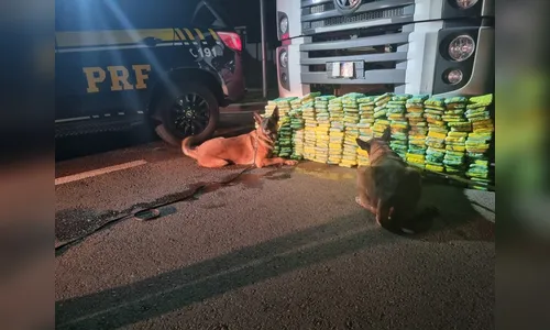 PRF apreende quase meia tonelada de drogas com apoio de cães farejadores no PR