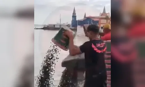 Com preço alto e vendas em baixa, vendedores jogam açaí fora no Pará