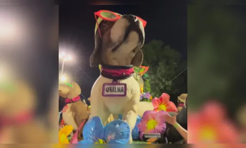 Cão Orelha é homenageado durante desfile na Sapucaí e web emociona