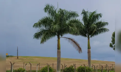 Fim de semana será de alívio no calor e risco de tempestades no PR, diz Simepar