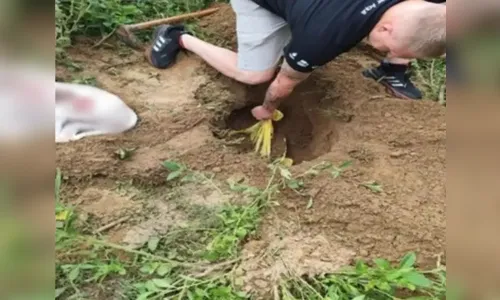 Idoso é preso em SC após matar cães a machadadas e enterrar corpos