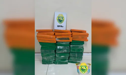 Polícia apreende 90 kg de maconha em ônibus na PR-444 em Arapongas; veja