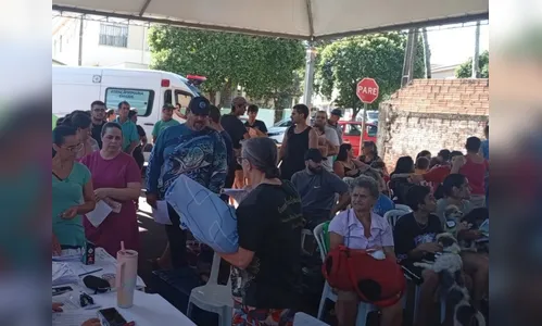 Novo Itacolomi realiza castração de aproximadamente 100 cães e gatos