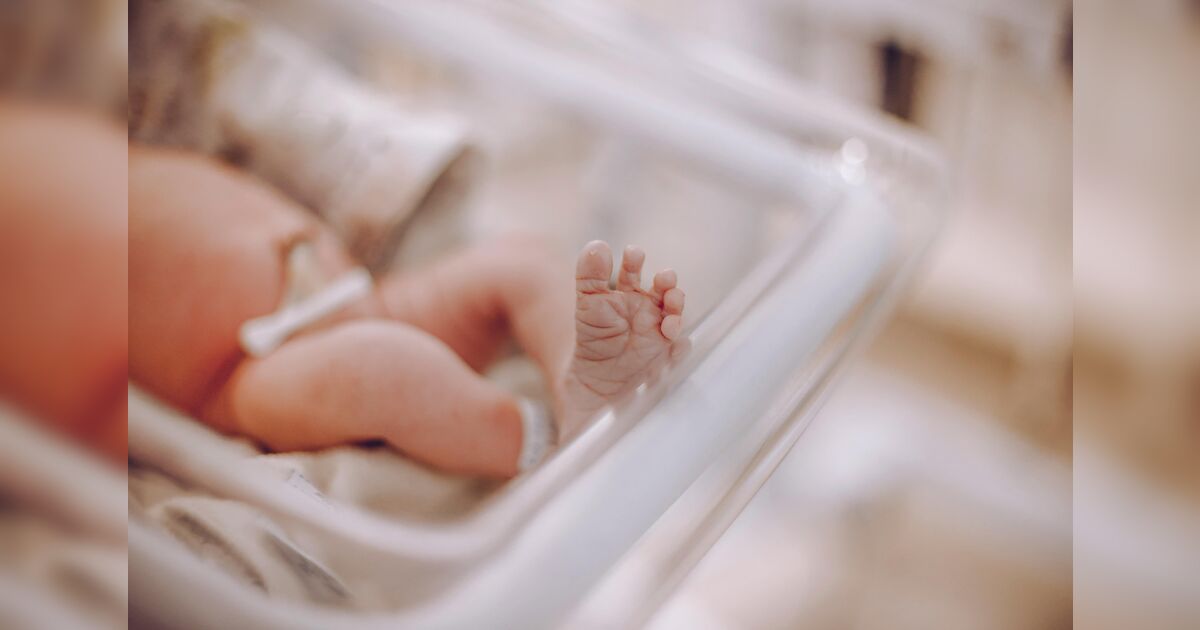 Mulher vive impasse jurídico por paternidade após ter relações com gêmeos idênticos