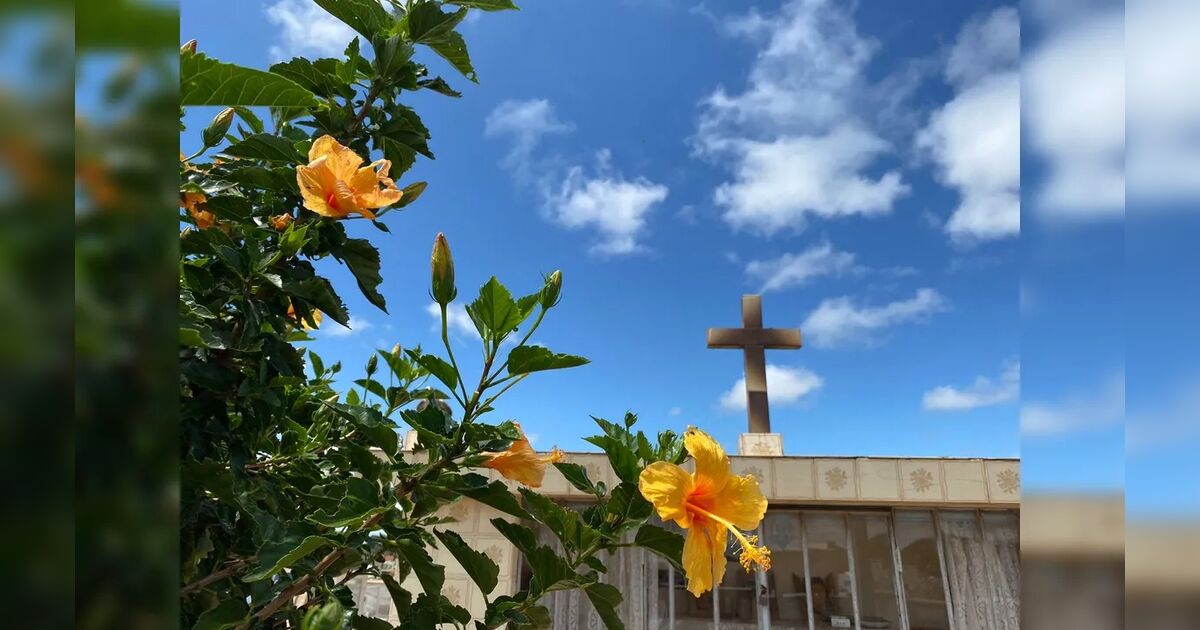 Confira os falecimentos deste domingo (29) em Arapongas