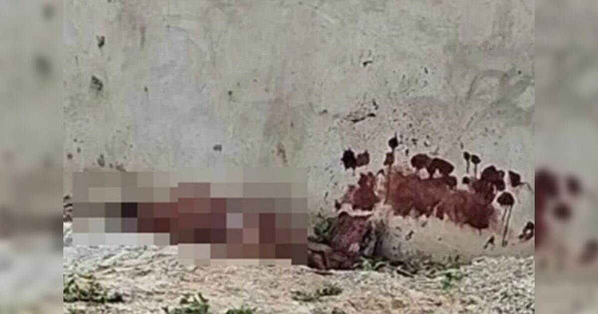 Homem é morto a pedradas e facadas por supostamente filmar mulher tomando banho