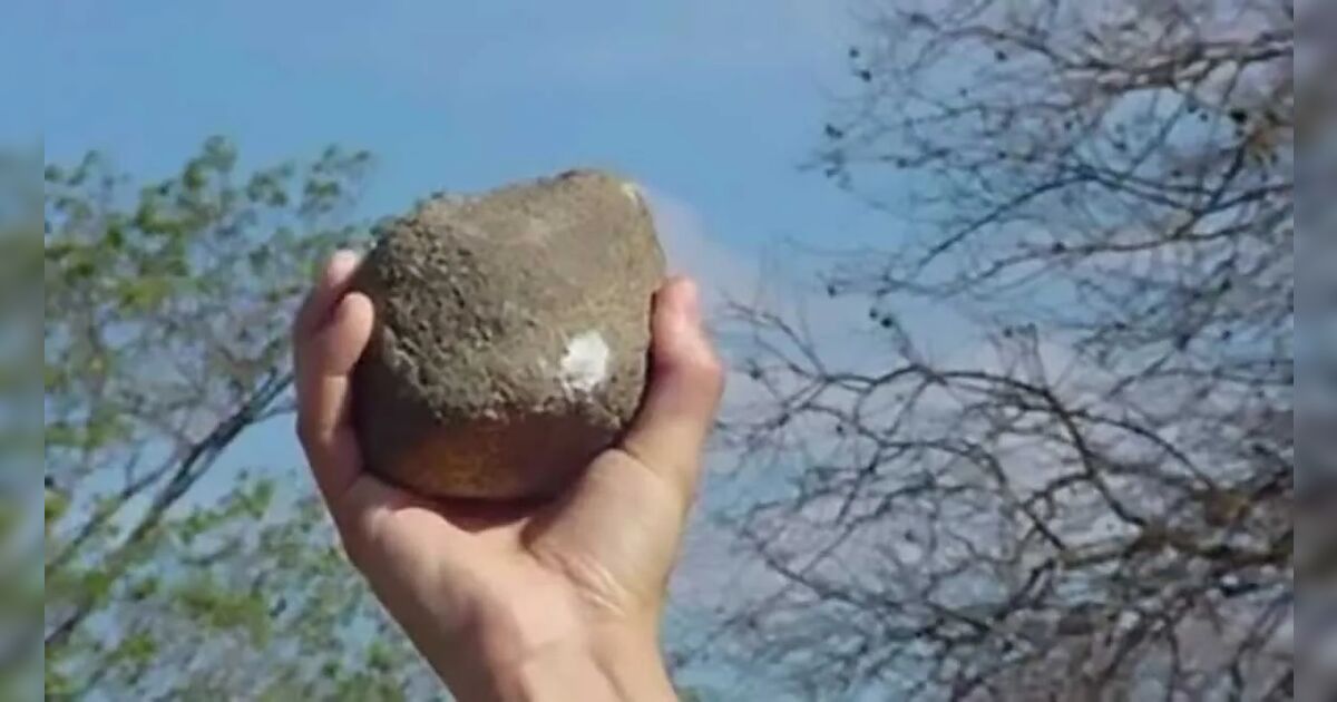 Mulher é detida pela PM após arremessar pedras e quase atingir criança