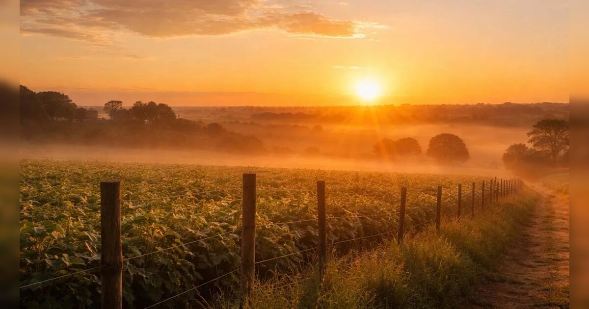 Calor predomina em Ivaiporã e região neste domingo (15)