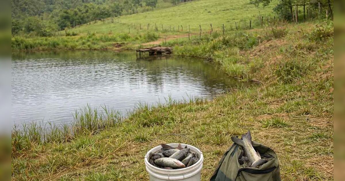 Dupla invade propriedade rural e leva peixes de represa
