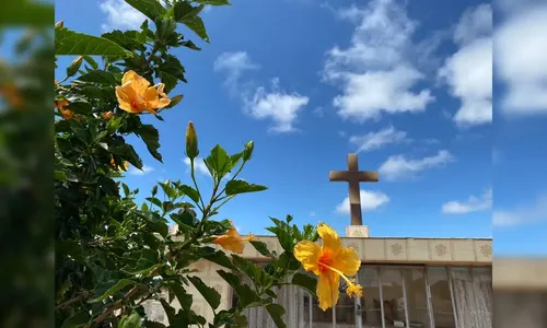 Confira os falecimentos deste domingo (29) em Arapongas