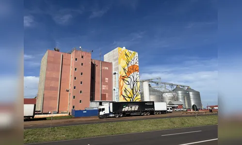 Arte urbana transforma moinho em marco visual na Rodovia do Café