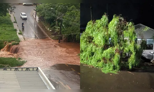 Apucarana registra estragos após forte tempestade nesta terça-feira (17)