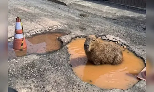 Capivara feita por IA viraliza e faz prefeitura tapar buraco em rua; veja vídeo