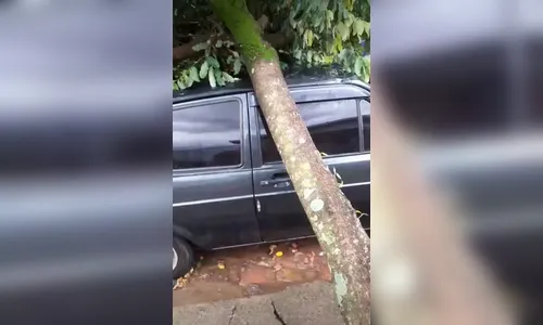 Temporal atinge Rosário do Ivaí e árvore cai sobre carro