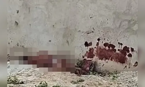 Homem é morto a pedradas e facadas por supostamente filmar mulher tomando banho