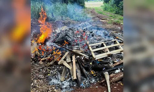 Responsável por descarte irregular e uso de fogo a céu aberto é multado em Arapongas