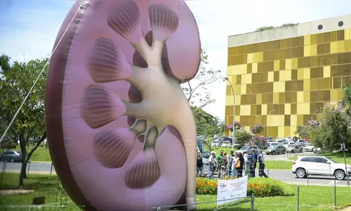 Dia Mundial do Rim: doenças renais são silenciosas e exigem atenção