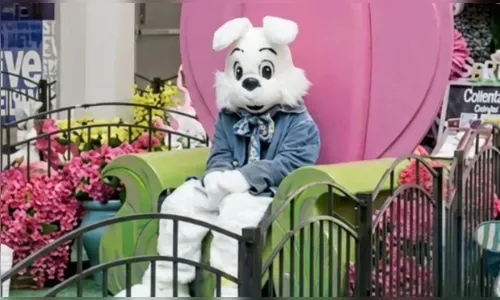 Homem é preso após apalpar seios de mulher vestida de coelho da Páscoa em shopping