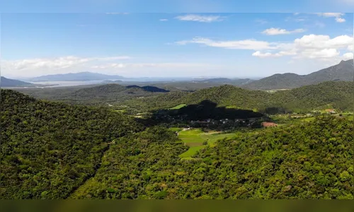 Drone localiza homem nu em mata fechada no PR após gritos de socorro