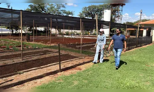 Ivaiporã aposta em Horta Escola para incentivar alimentação saudável