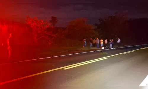 Motociclista fica ferido após atropelar capivara na PR-466 em Jardim Alegre