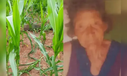 Idosa de 70 anos que estava desaparecida é achada morta em roça no PR
