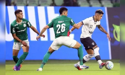 Árbitro de Palmeiras x Botafogo comete gafe em súmula: 