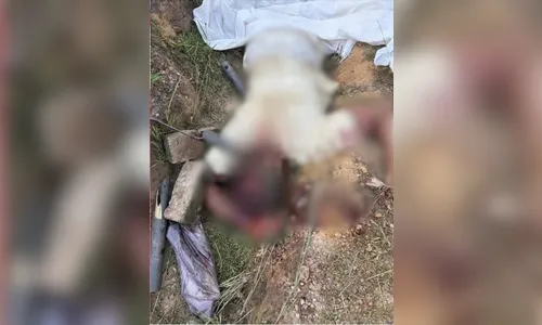 Homem mata irmão a pauladas por disputa de terras e foge em GO