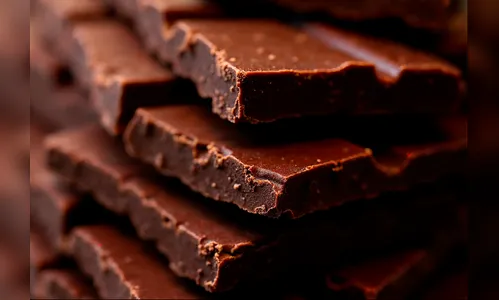 Projeto de lei define percentuais mínimos de cacau e extingue termo 