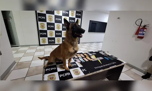 PM de Apucarana prende homem e apreende drogas em conveniência
