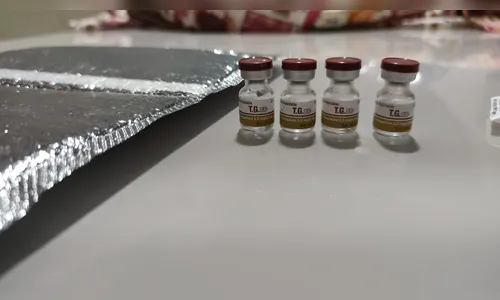 MPPR denuncia policial que usou distintivo falso para roubar carga de emagrecedores ilegais