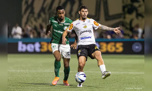 Veja onde assistir Novorizontino x Palmeiras ao vivo neste domingo