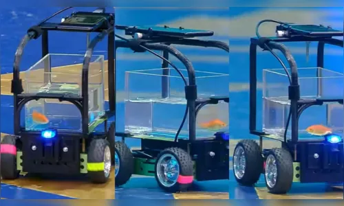 Peixe entra para o Guinness após 'dirigir' carro por mais de 12 metros; veja vídeo