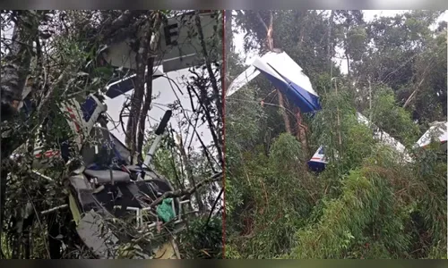 Piloto morre em queda de avião monomotor em área rural na Grande Curitiba (PR)