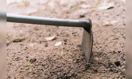Briga com enxada em rua de Apucarana mobiliza a polícia