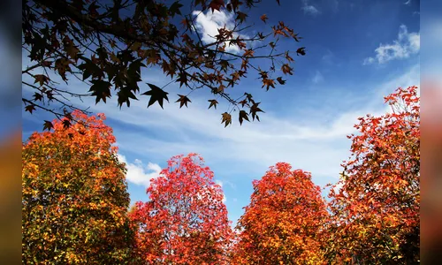 Primeiro fim de semana de outono será de calor e pancadas de chuva isoladas no PR