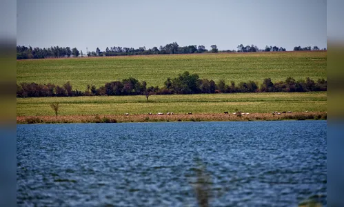 Quatro comitês de bacias hidrográficas se reúnem para discutir a gestão da água no Paraná