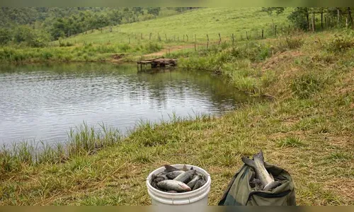 Dupla invade propriedade rural e leva peixes de represa