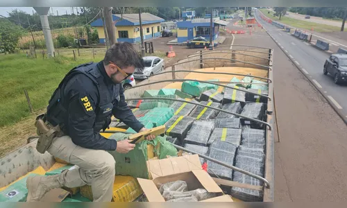 PRF faz a maior apreensão de maconha do ano em rodovias federais no PR