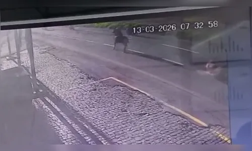 Vídeo: Motociclista morre após atingir cavalo solto na BR-369 em Londrina