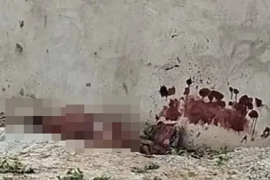 Homem é morto a pedradas e facadas por supostamente filmar mulher tomando banho