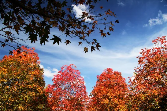 Primeiro fim de semana de outono será de calor e pancadas de chuva isoladas no PR