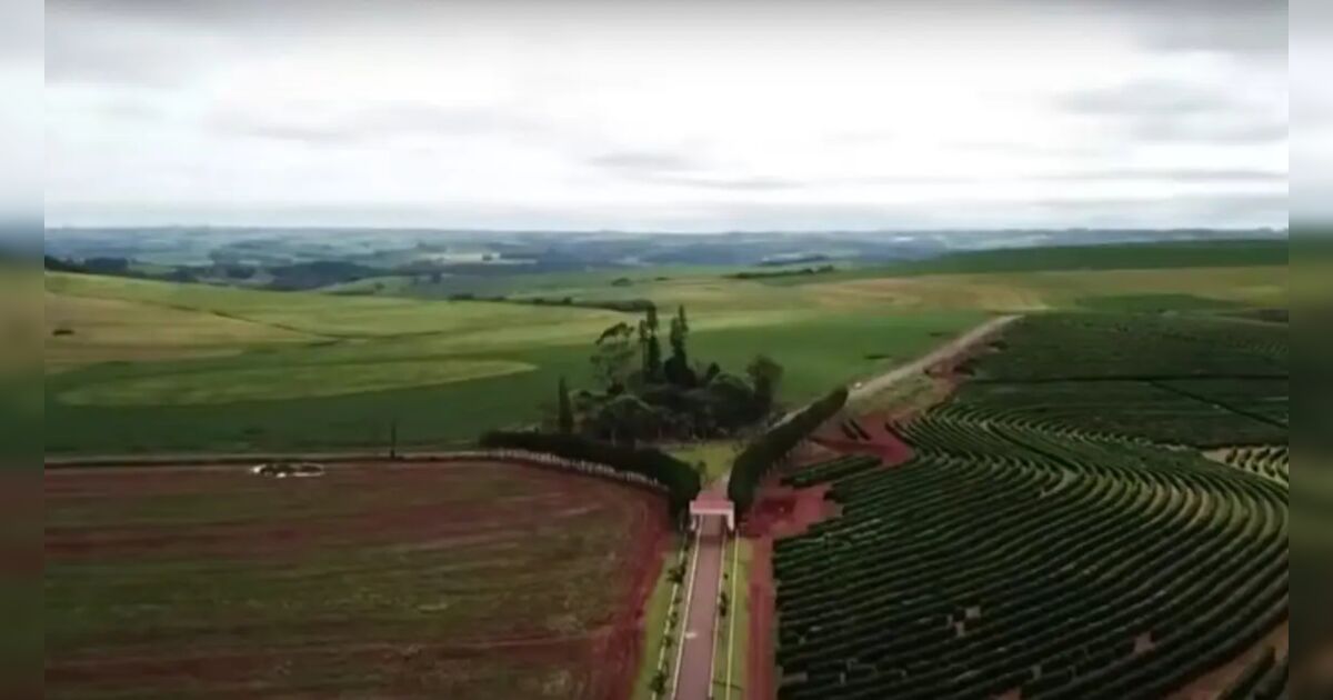 Apresentador é dono da maior fazenda de um estado inteiro, com 150 mil hectares; saiba quem