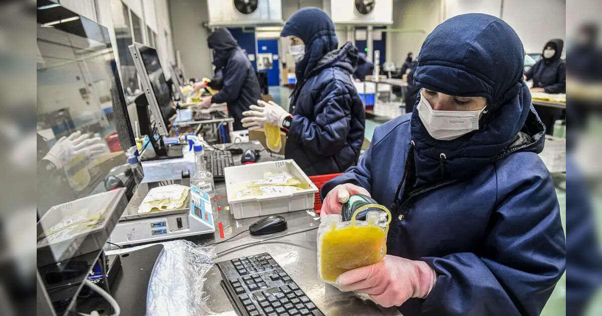 Dia Mundial da Hemofilia: campanha reforça importância do diagnóstico