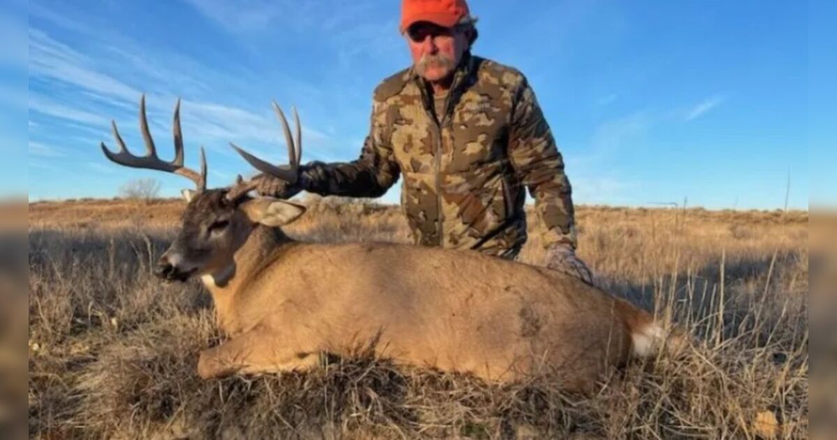 Milionário morre pisoteado por elefantes durante expedição de caça a animal raro