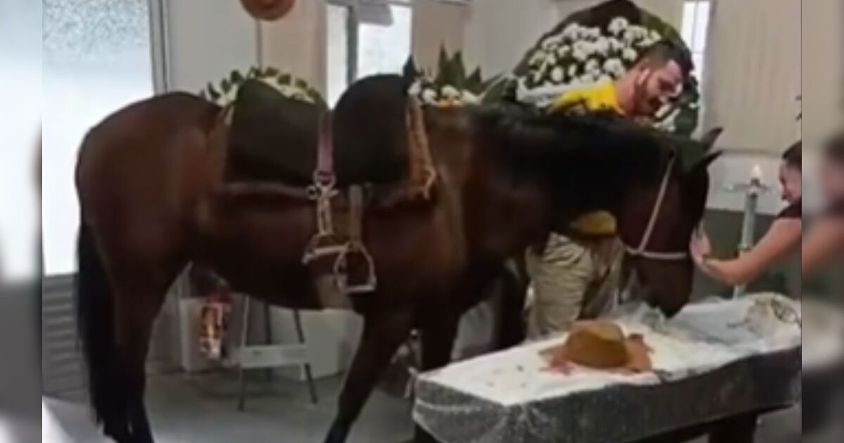 Égua relincha ao ver seu seu dono sendo velado no caixão e vídeo emociona; veja